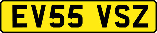 EV55VSZ