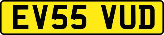 EV55VUD