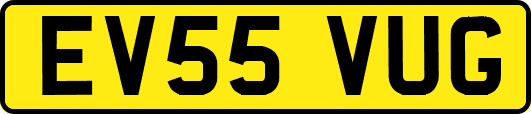 EV55VUG