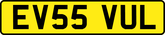 EV55VUL