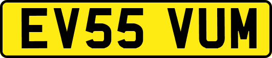 EV55VUM