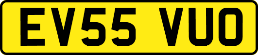 EV55VUO
