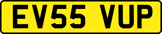 EV55VUP