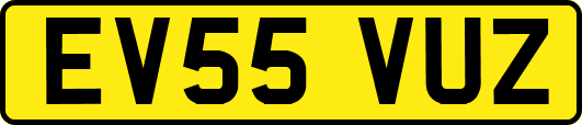 EV55VUZ