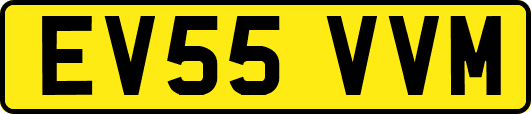 EV55VVM