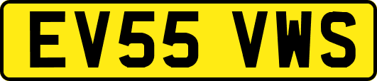 EV55VWS