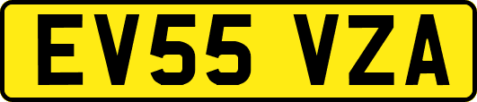EV55VZA