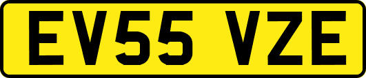 EV55VZE