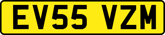 EV55VZM