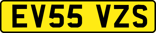 EV55VZS