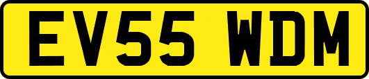 EV55WDM