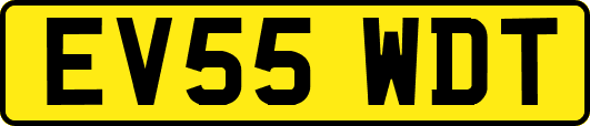 EV55WDT