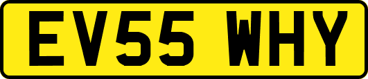 EV55WHY