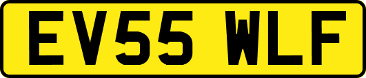 EV55WLF