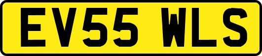 EV55WLS