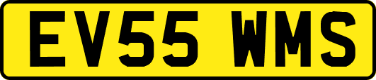 EV55WMS
