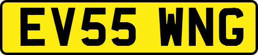 EV55WNG