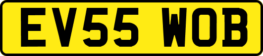 EV55WOB