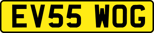 EV55WOG
