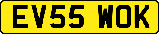 EV55WOK