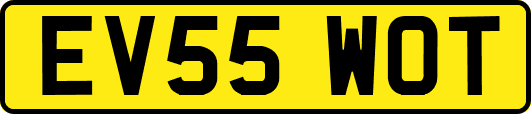 EV55WOT