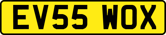 EV55WOX