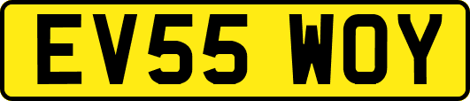 EV55WOY