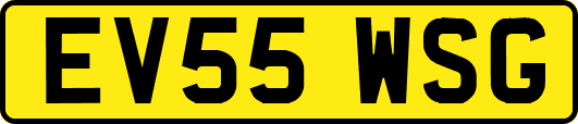 EV55WSG