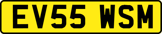 EV55WSM