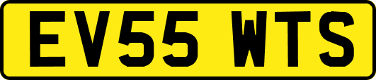 EV55WTS