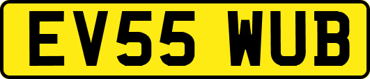 EV55WUB