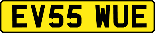 EV55WUE