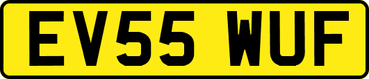 EV55WUF