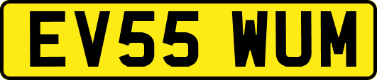 EV55WUM