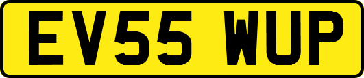 EV55WUP