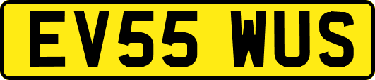 EV55WUS