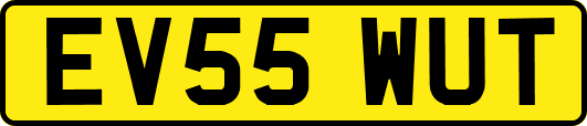 EV55WUT