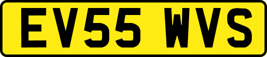 EV55WVS