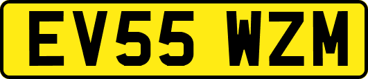 EV55WZM