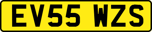 EV55WZS