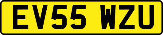 EV55WZU