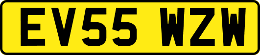 EV55WZW