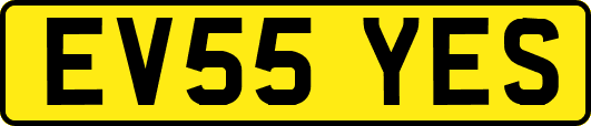 EV55YES