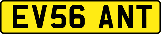 EV56ANT