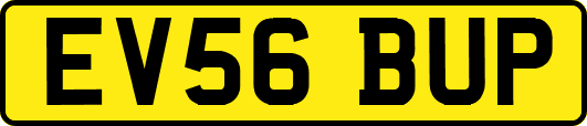 EV56BUP