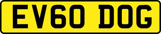 EV60DOG