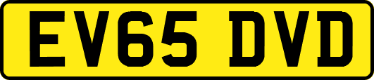 EV65DVD