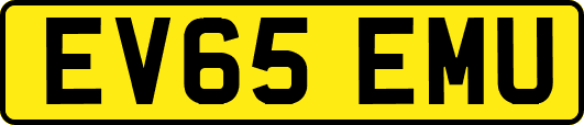 EV65EMU