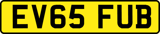 EV65FUB