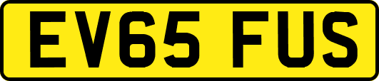 EV65FUS